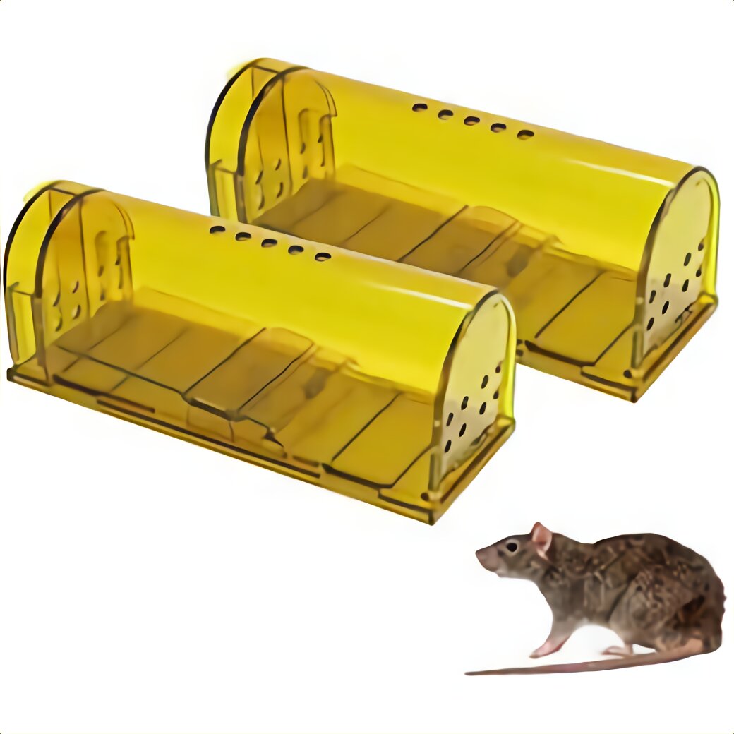 Rat Trap Bait Box For Sale In Uk 