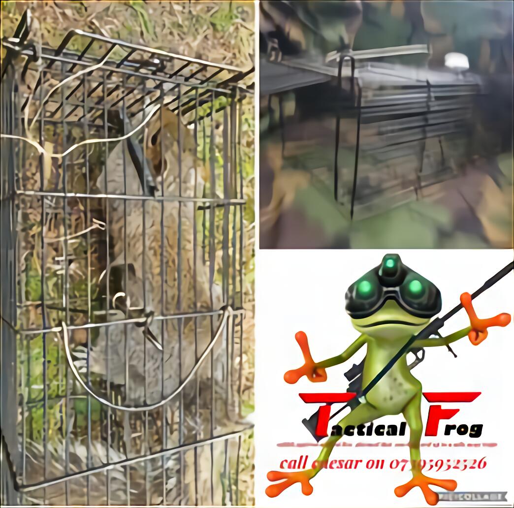 Fox Trap for sale in UK | 57 used Fox Traps