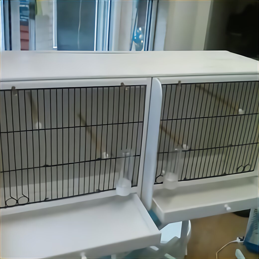 Quail Cage for sale in UK | 25 used Quail Cages