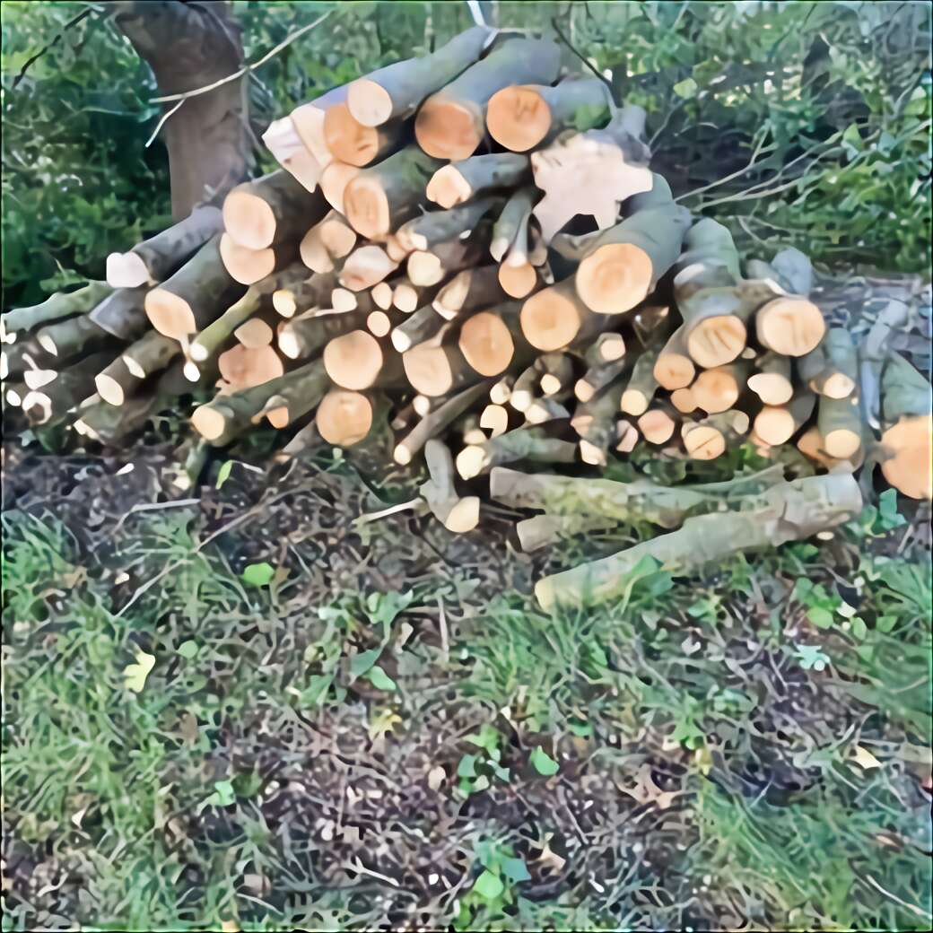 Oak Tree Trunk for sale in UK 50 used Oak Tree Trunks