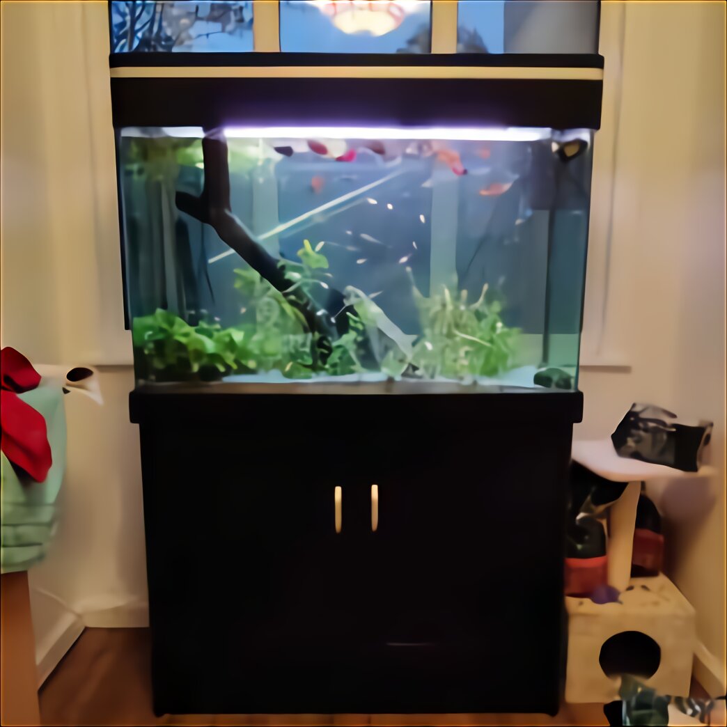 Aquariums for sale in UK 89 used Aquariums