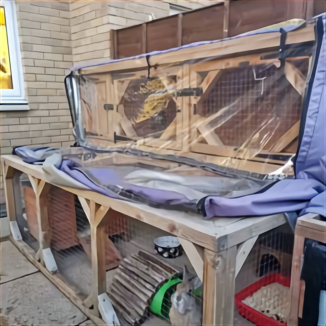 Quail Cage for sale in UK 34 used Quail Cages