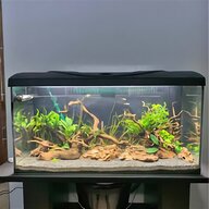 bow front aquarium fish tank for sale