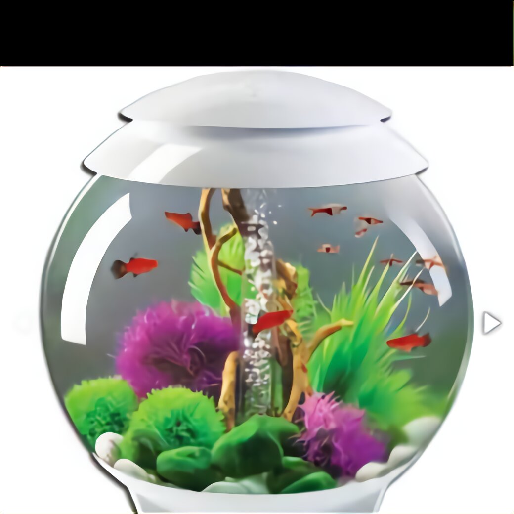 50 Litre Fish Tank for sale in UK | 25 used 50 Litre Fish Tanks