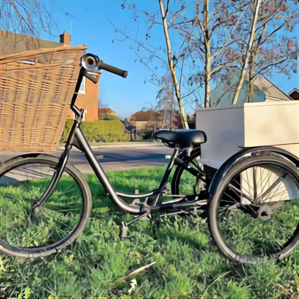 4 wheel push bike