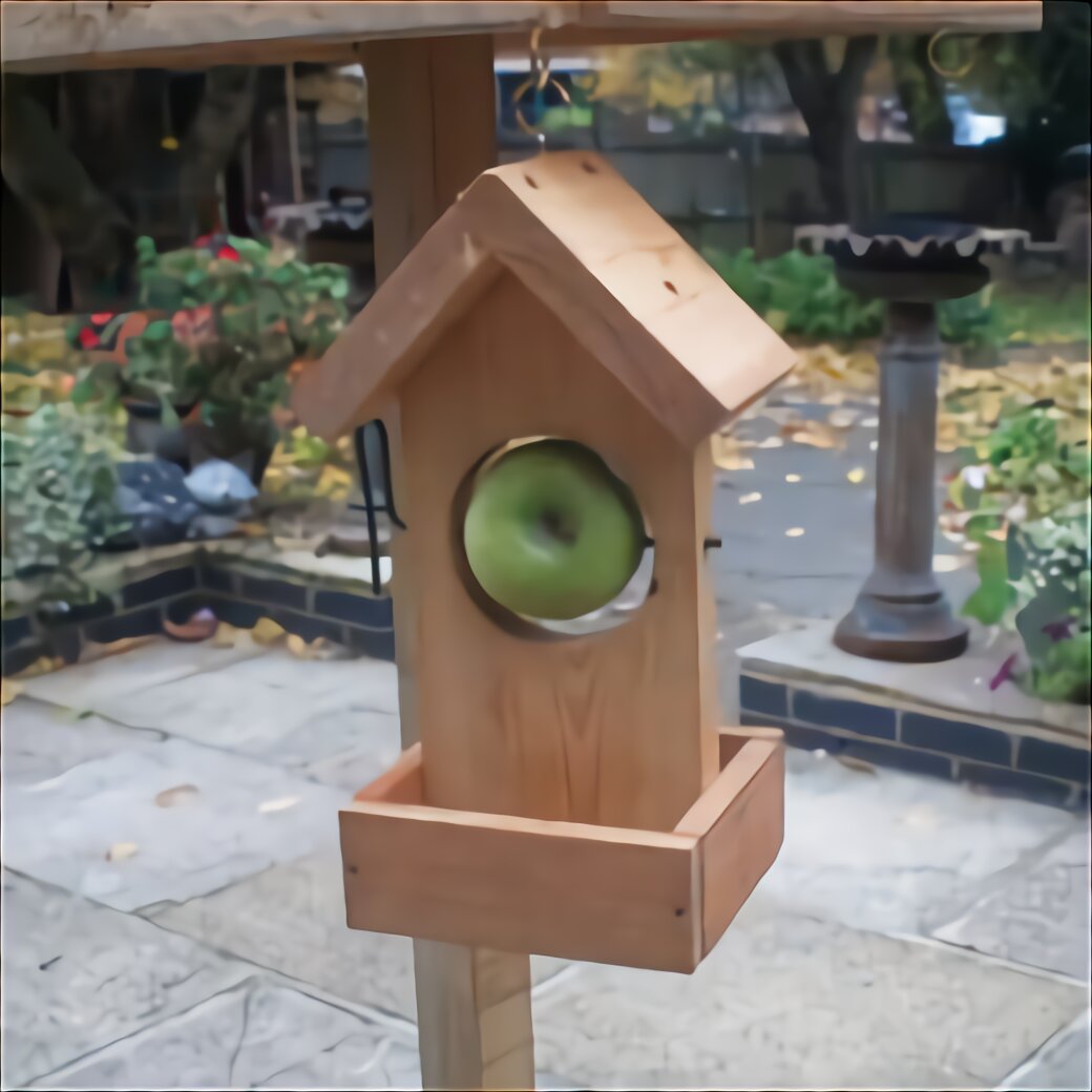 Wood Bird Perch for sale in UK 69 used Wood Bird Perchs