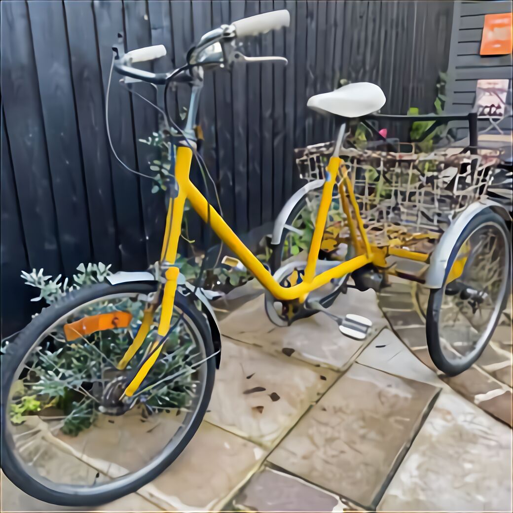 pashley 3 wheel bike