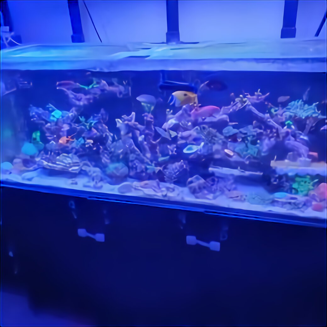 Acrylic Aquarium for sale in UK 56 used Acrylic Aquariums