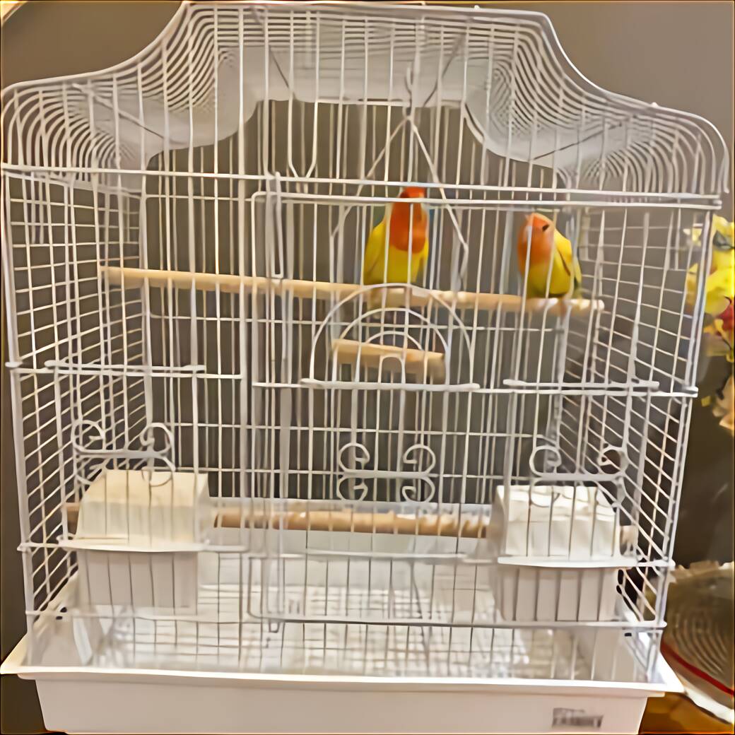 society finch cage size