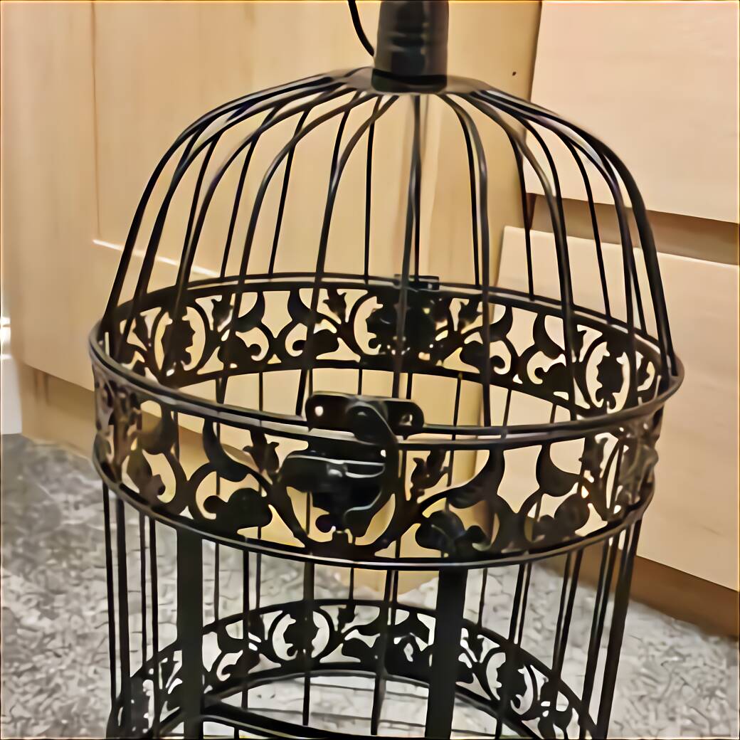 Decorative Bird Cages for sale in UK | 86 used Decorative Bird Cages