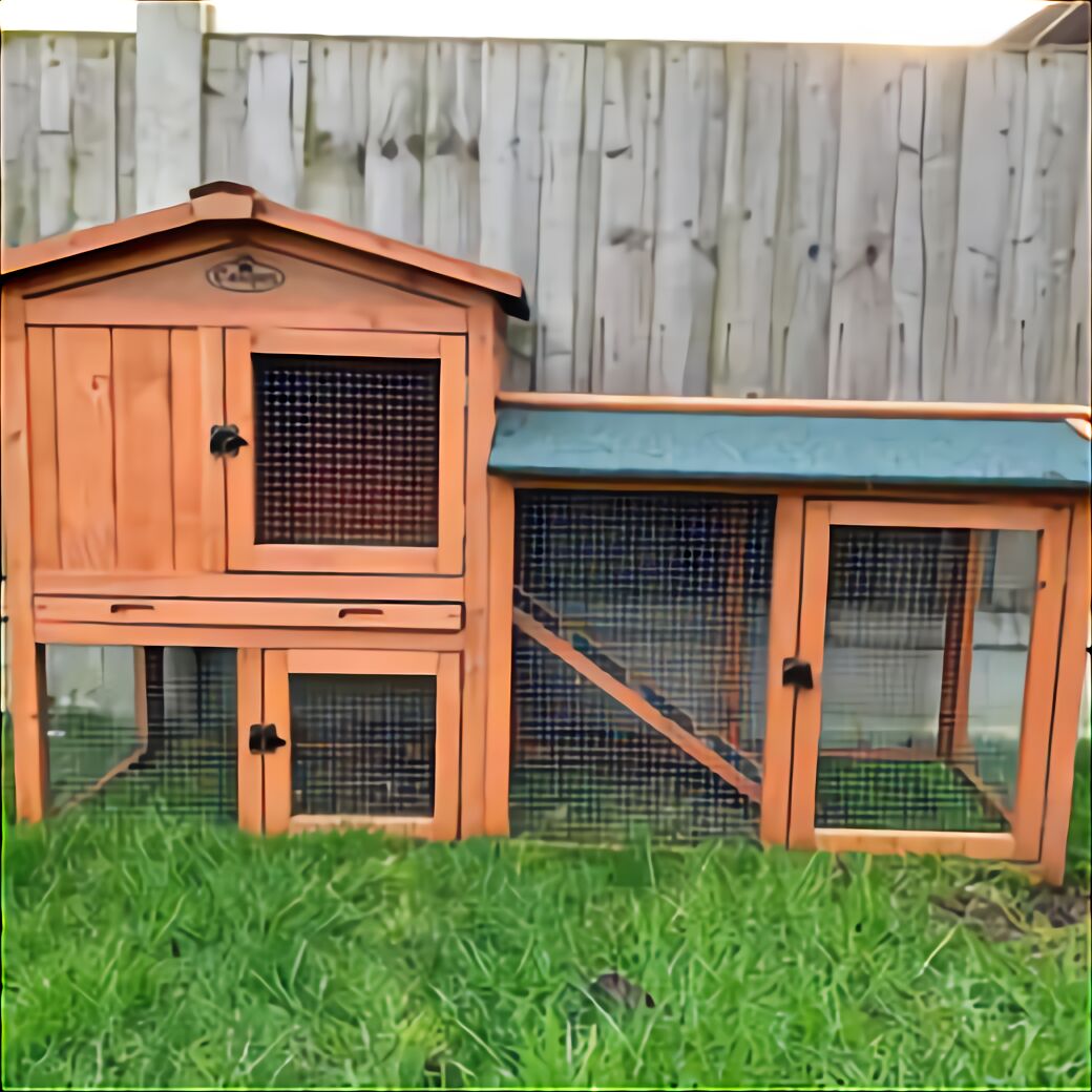 Outdoor Guinea Pig Hutch for sale in UK | 36 used Outdoor Guinea Pig Hutchs