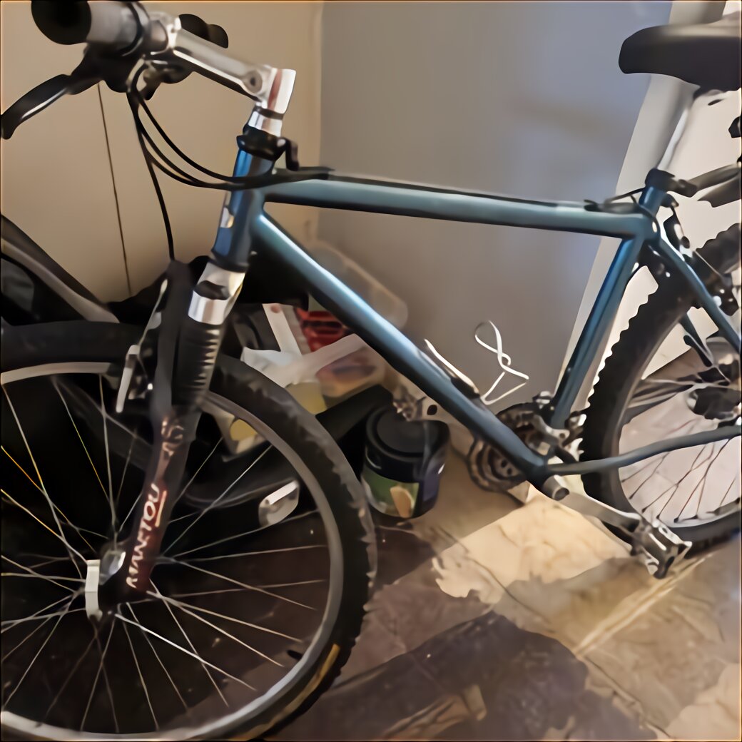 raleigh vektar for sale