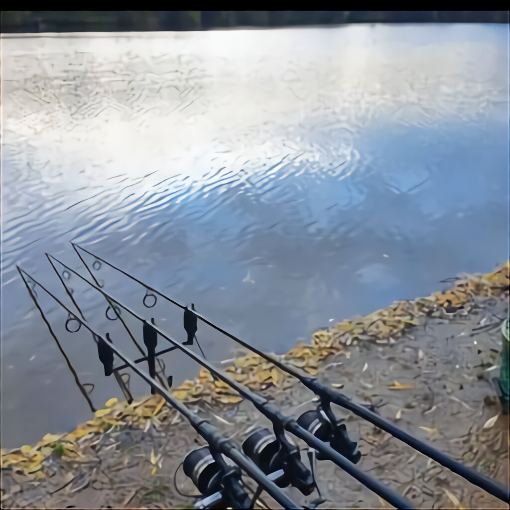 used carp rods x3 for sale