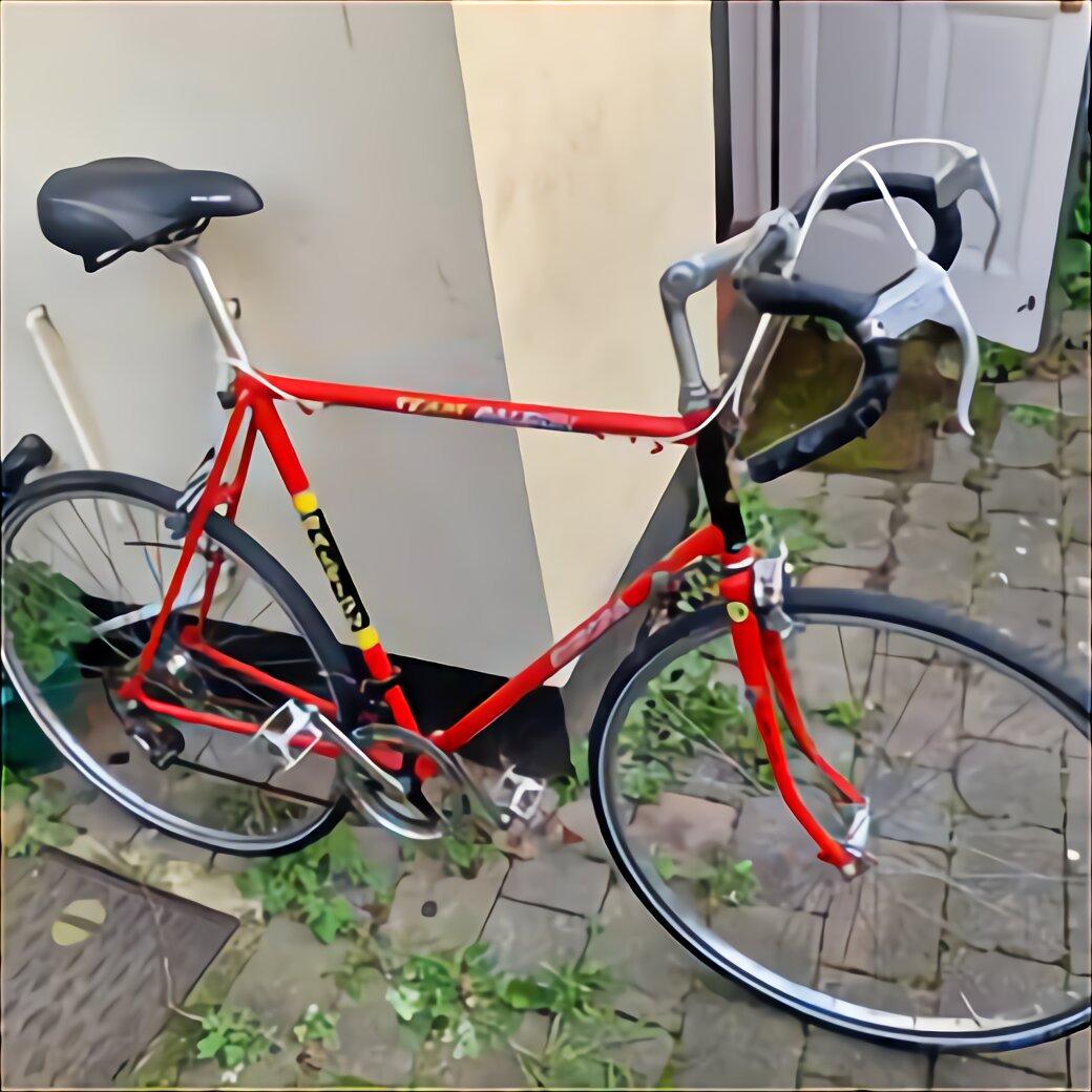 raleigh vektar