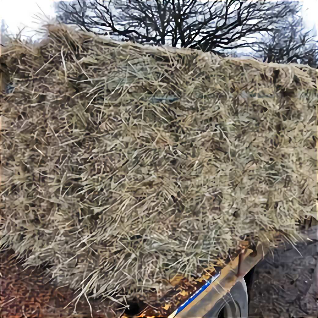 Haylage for sale in UK | 54 used Haylages