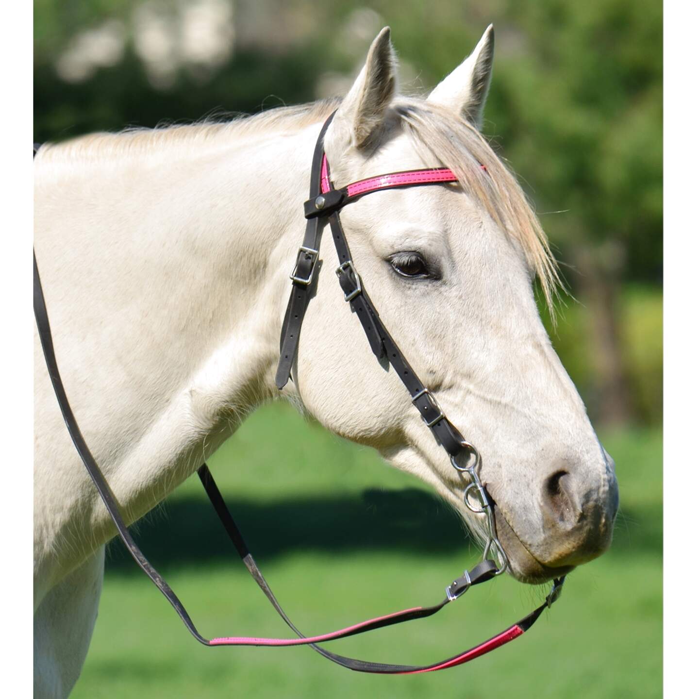 Western Bridles For Sale In UK | 66 Used Western Bridles