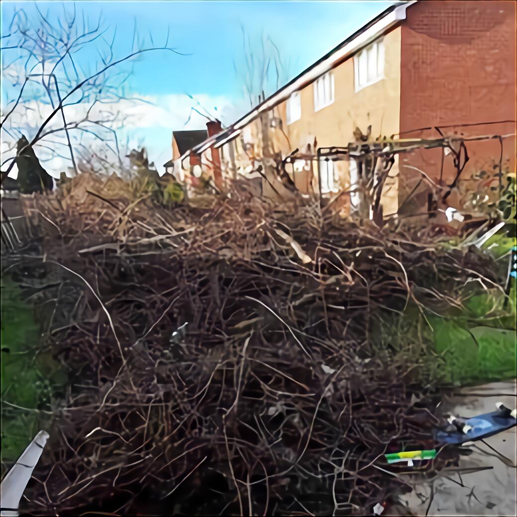 Thick Tree Branches For Sale Uk at Jeff Norton blog