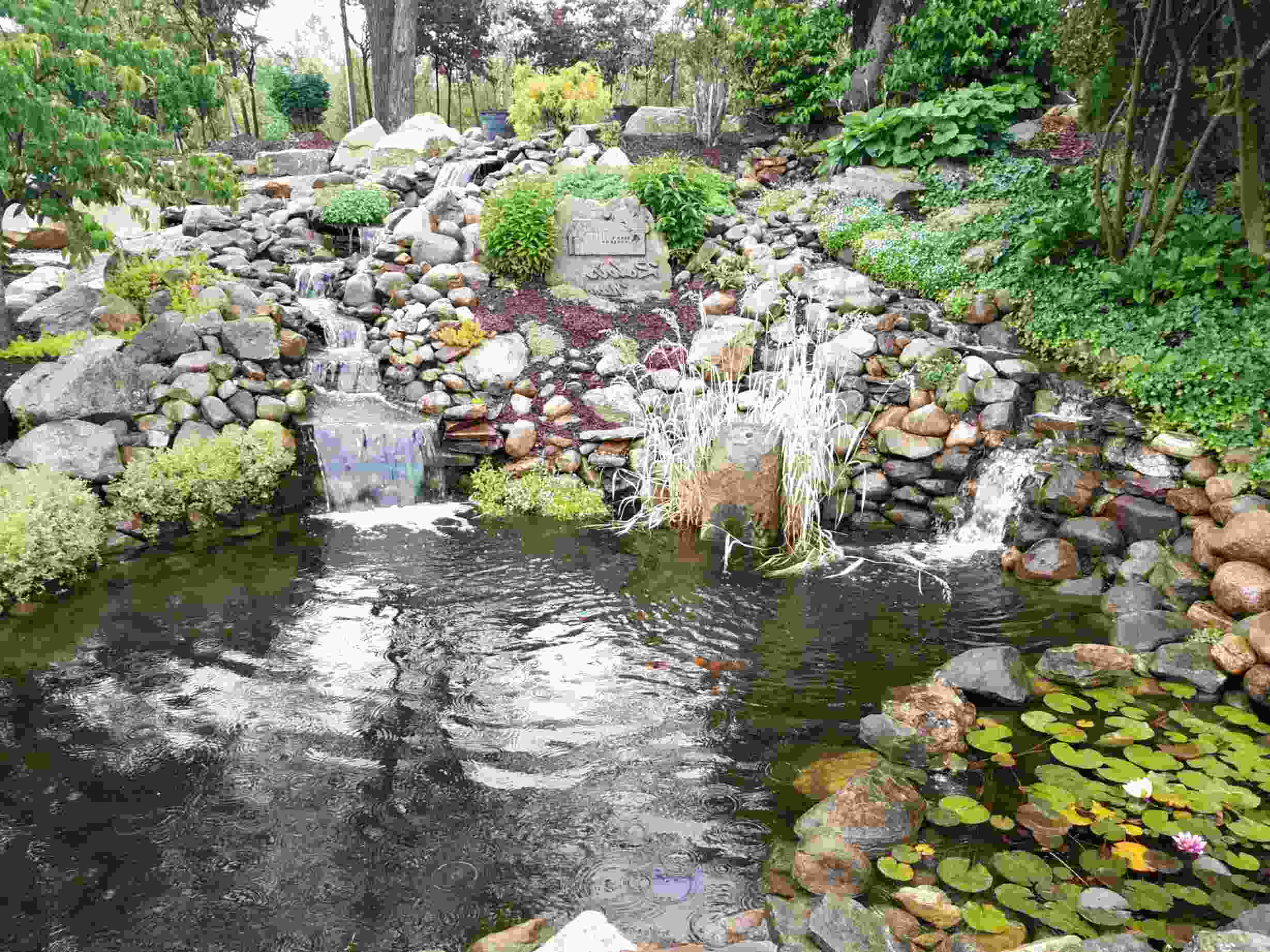 Ponds for sale in UK | 85 used Ponds