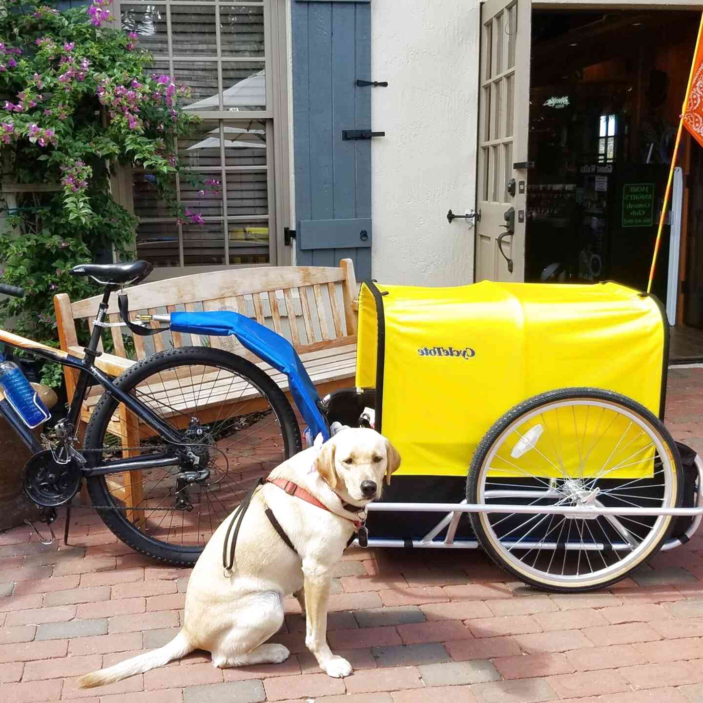 Large Dog Bicycle Trailer for sale in UK | 68 used Large Dog Bicycle ...