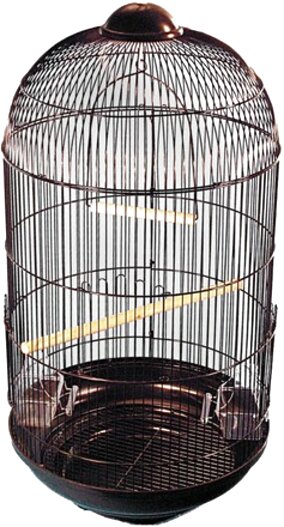 large round bird cage for sale