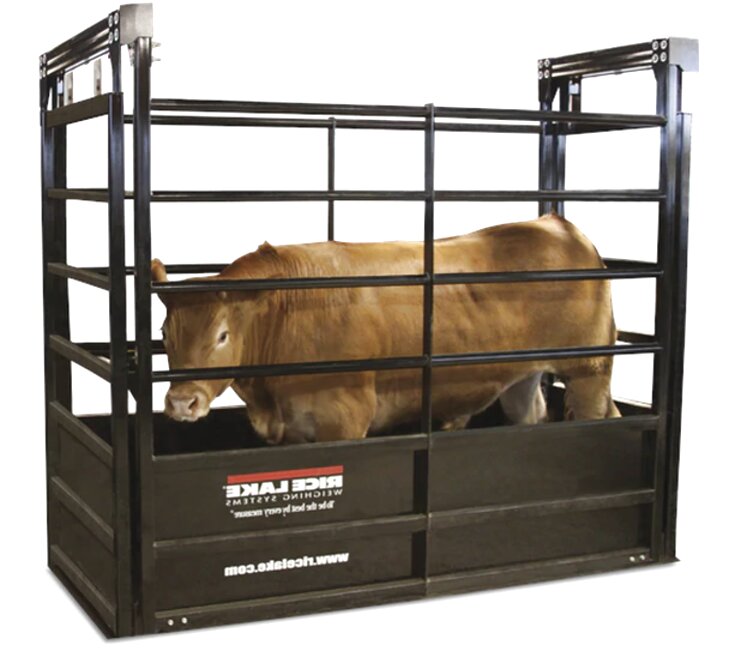 Livestock Scales for sale in UK | 63 used Livestock Scales