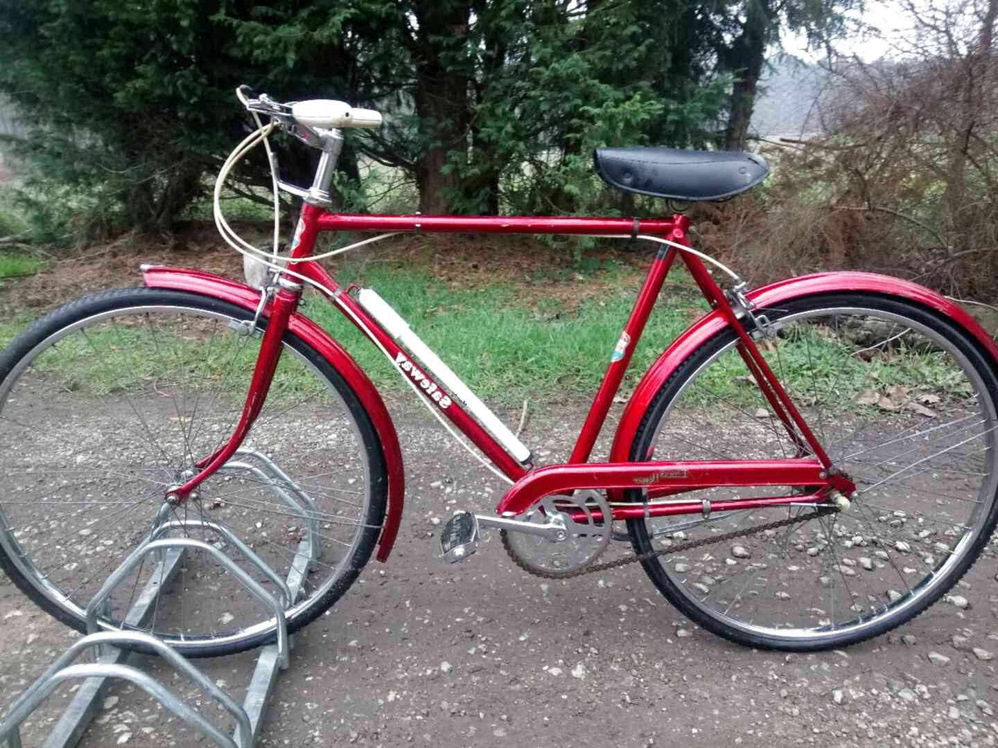 elswick cherish bike