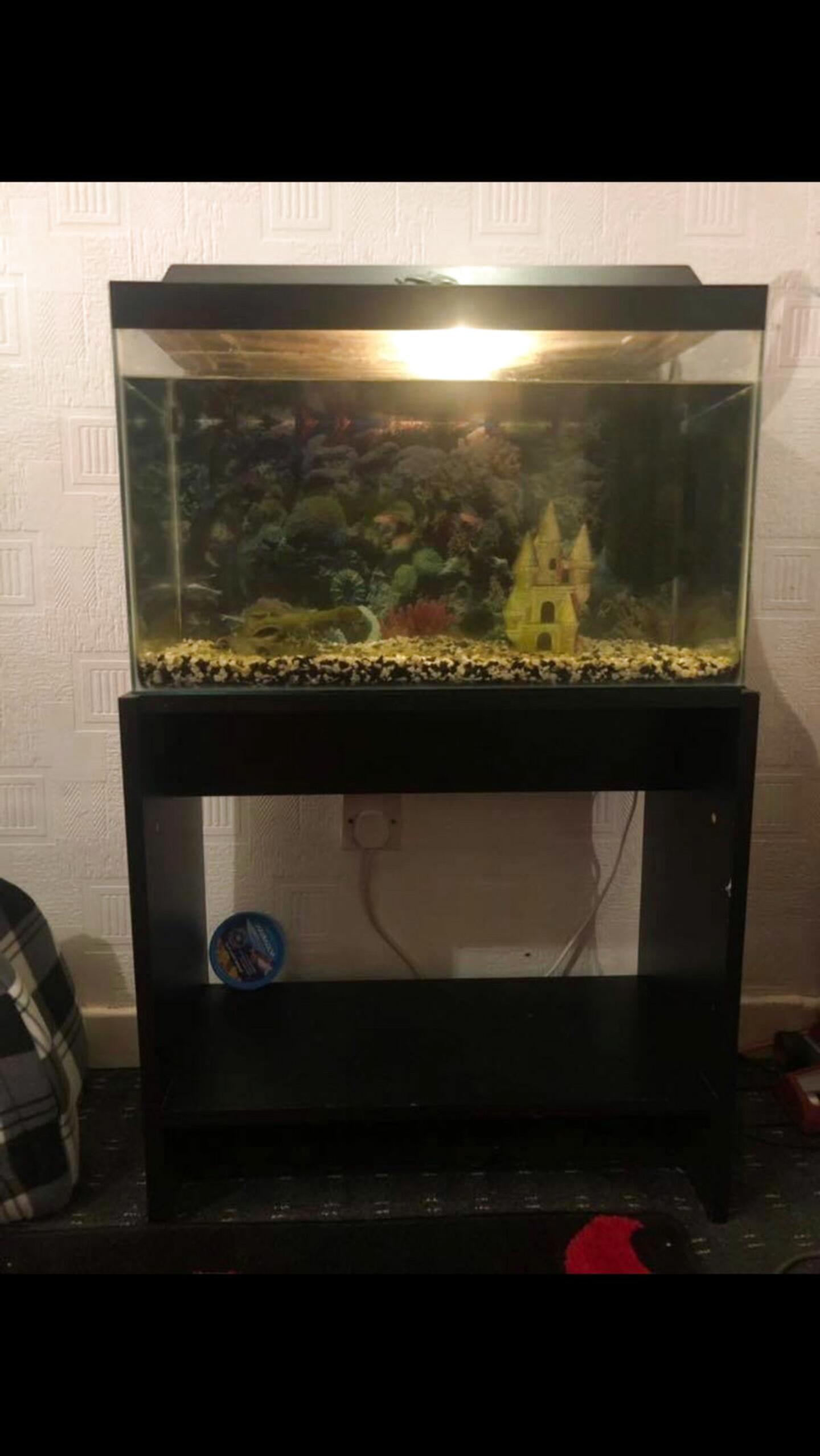 70 Litre Fish Tank for sale in UK 22 used 70 Litre Fish Tanks