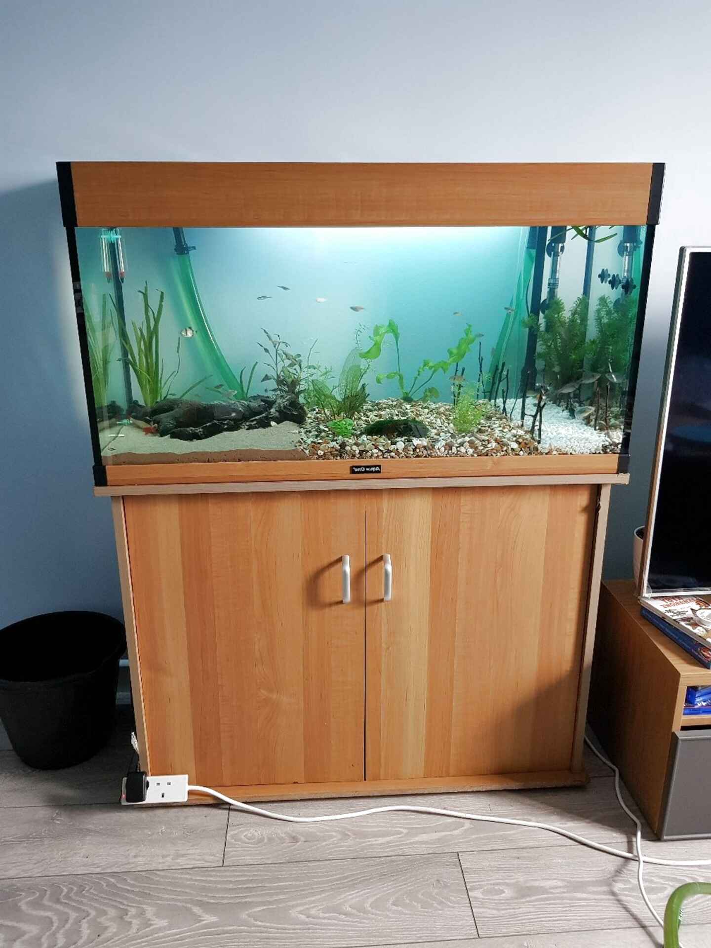 used fish tanks