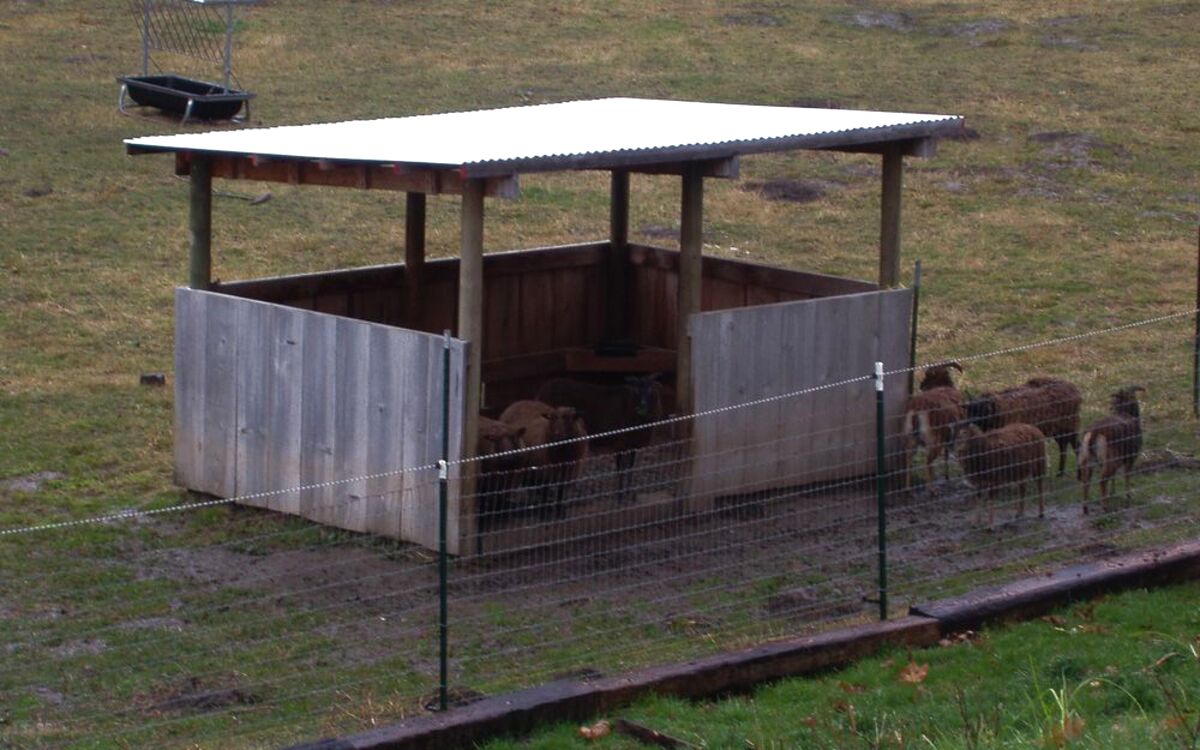 Sheep Shelter For Sale In Uk 