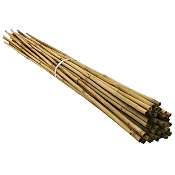 Bamboo Garden Canes for sale in UK | 69 used Bamboo Garden Canes