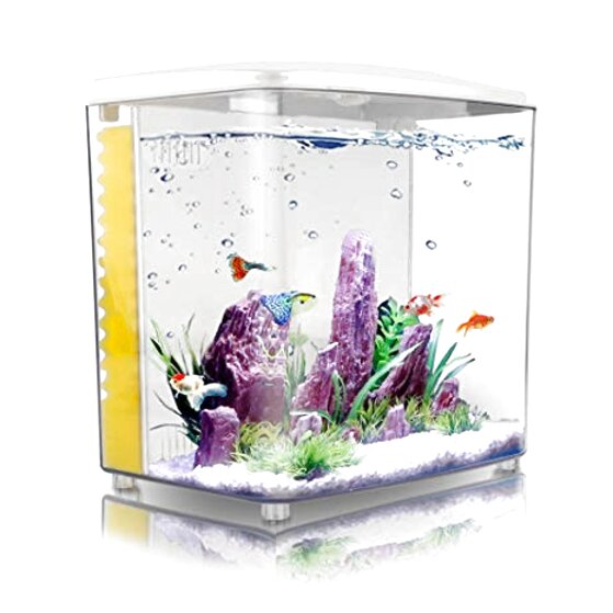 Square Aquarium for sale in UK | 58 used Square Aquariums