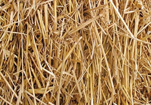 Wheat Straw for sale in UK | 63 used Wheat Straws