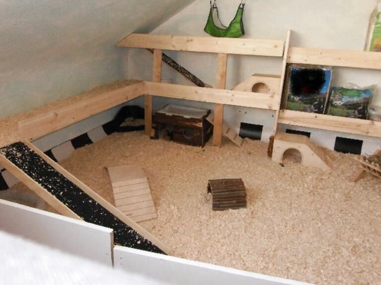 Gerbil Cage for sale in UK 96 used Gerbil Cages