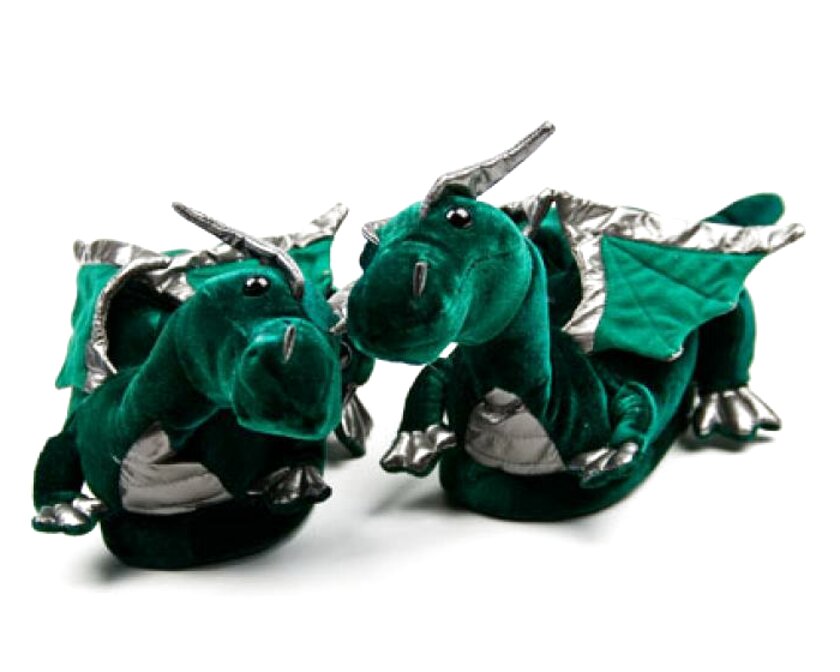 dragon slippers series