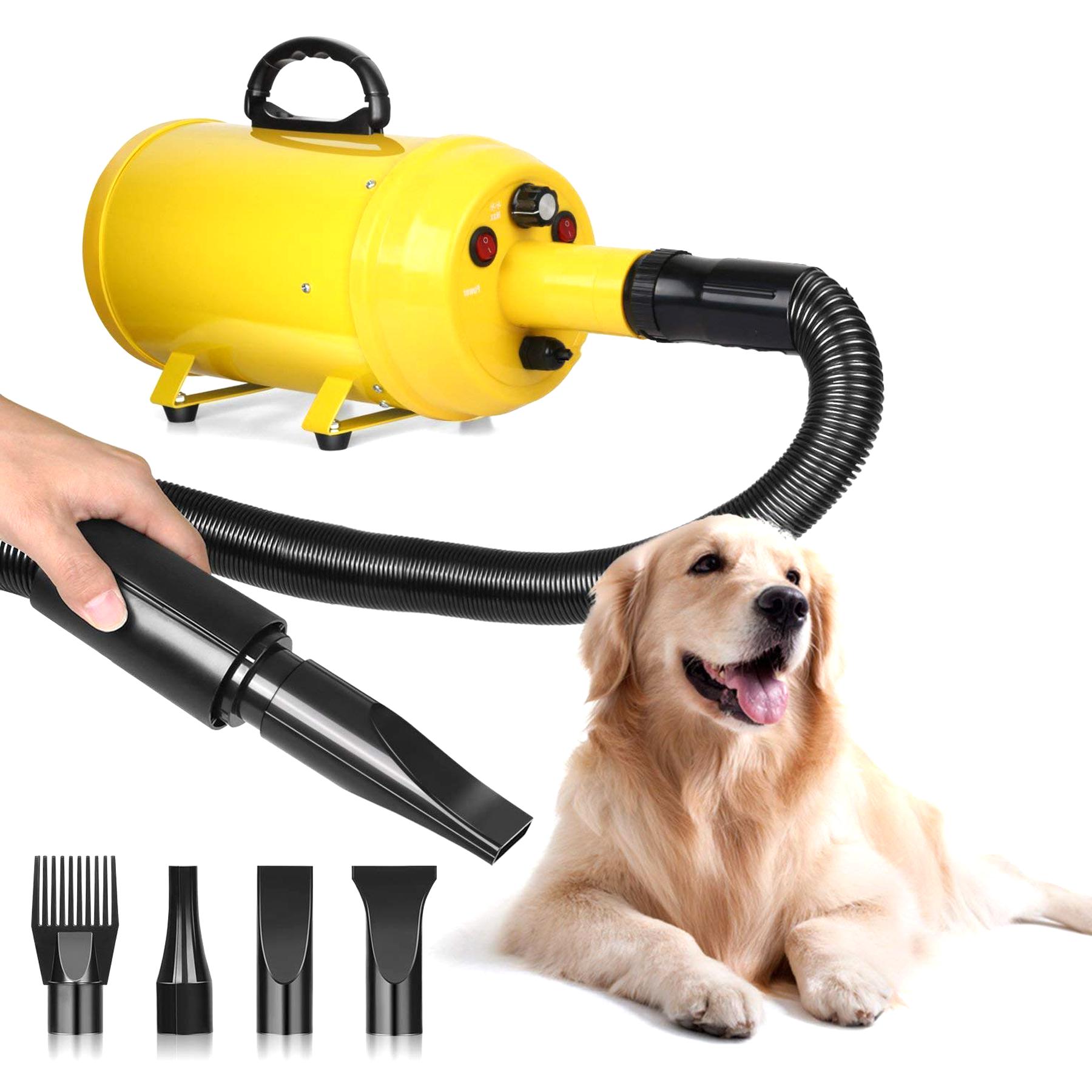 Dog Dryer for sale in UK | 76 used Dog Dryers