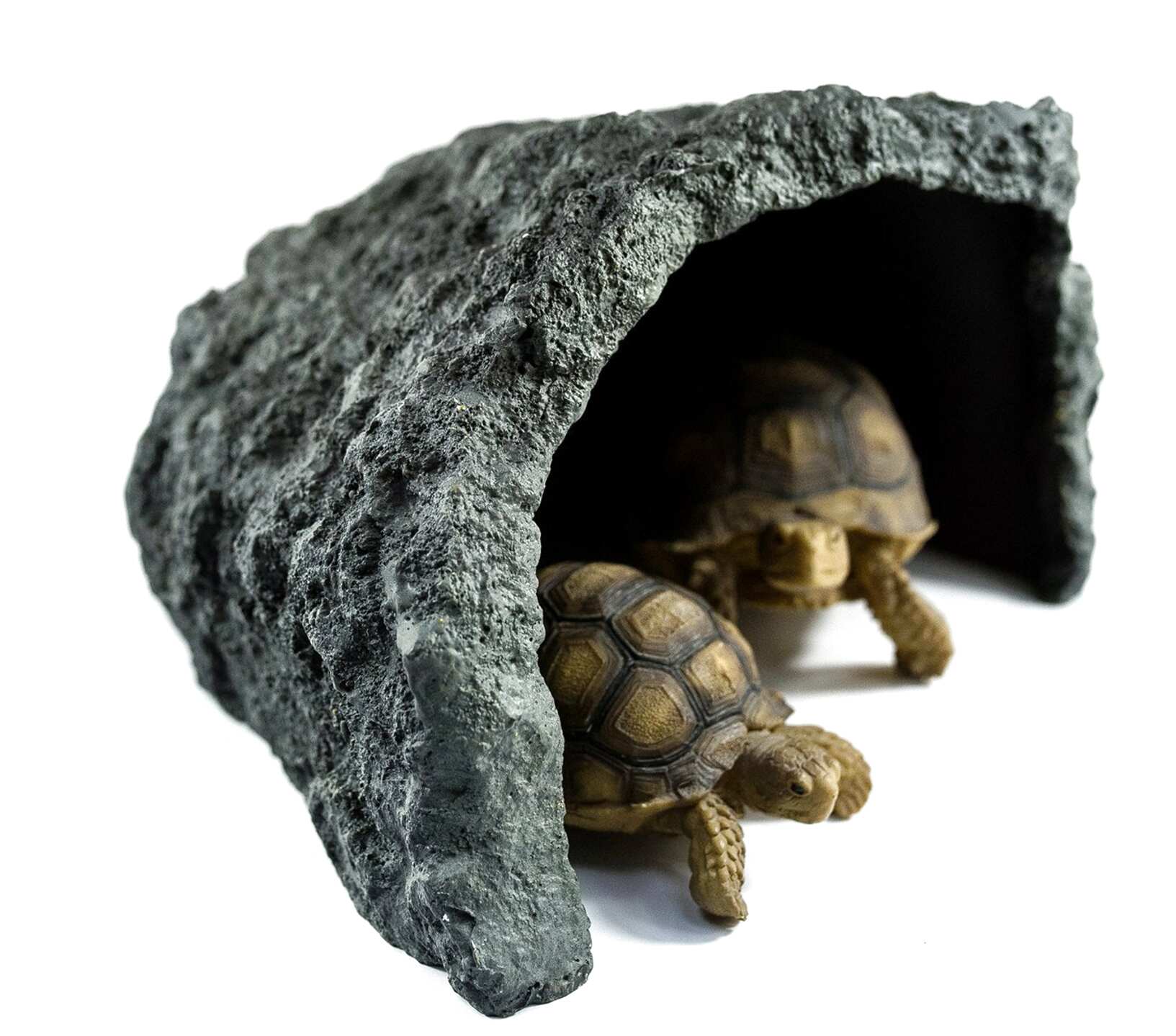 tortoise-hide-for-sale-in-uk-27-used-tortoise-hides