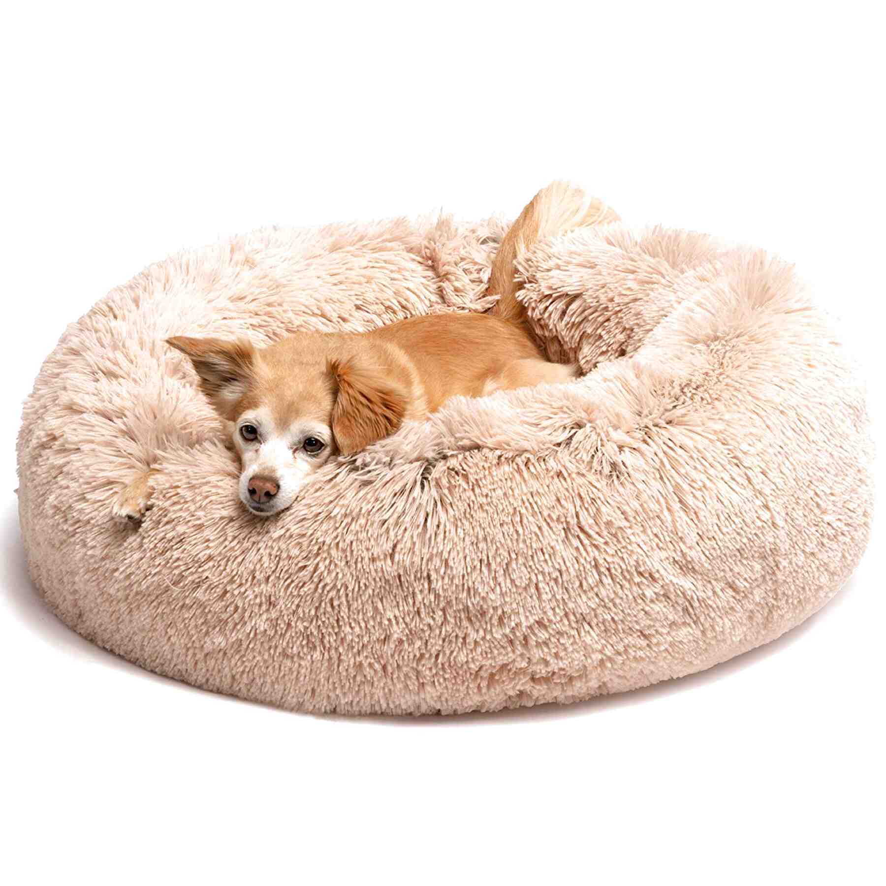 Dog Beds for sale in UK | 88 second-hand Dog Beds