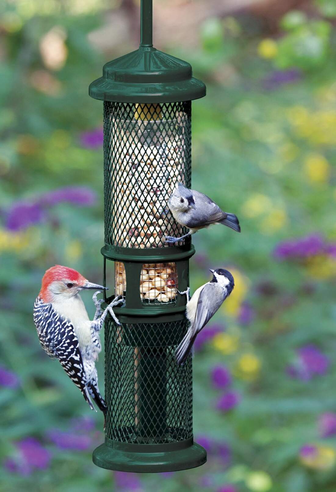 squirrel proof bird feeders