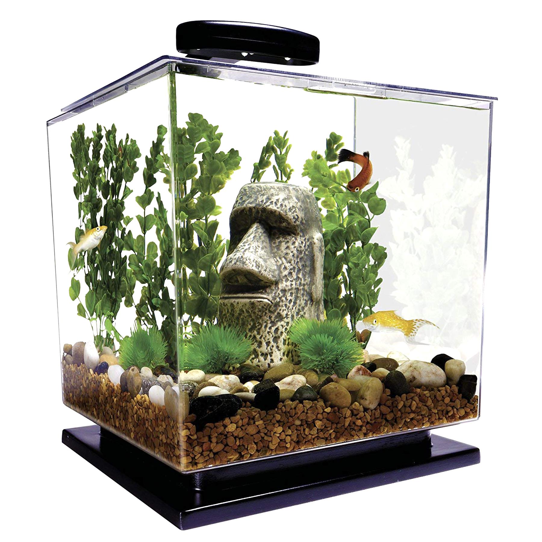 Cube Aquarium for sale in UK | 36 used Cube Aquariums