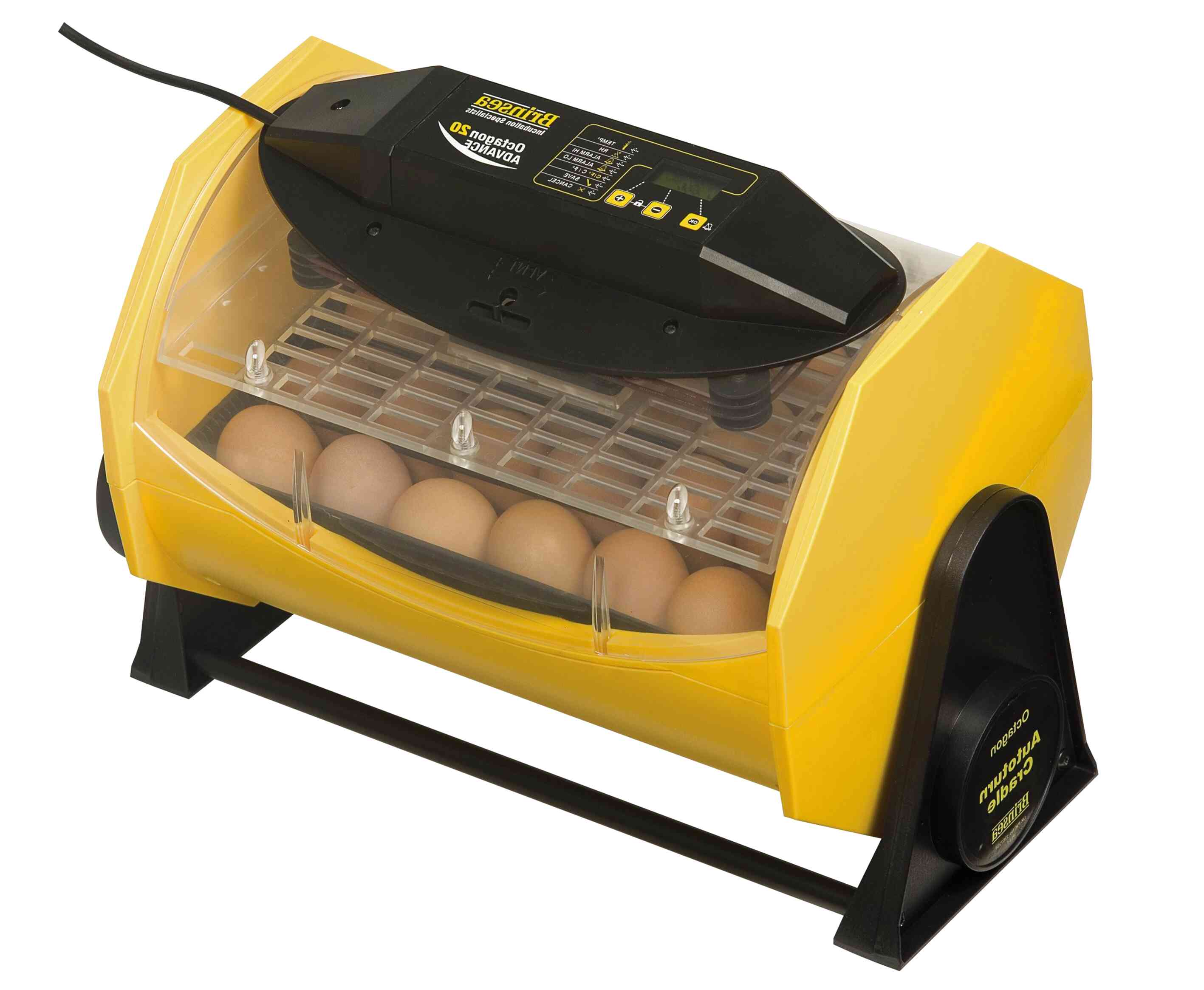 best egg incubator brands brinsea