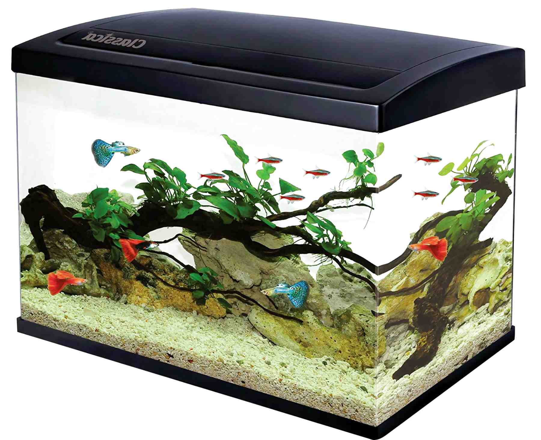 used fish tanks for sale