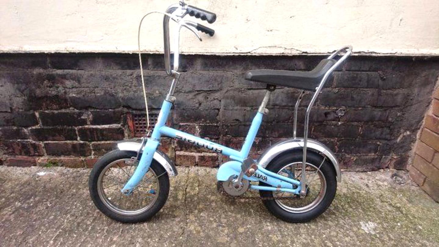 budgie bike for sale