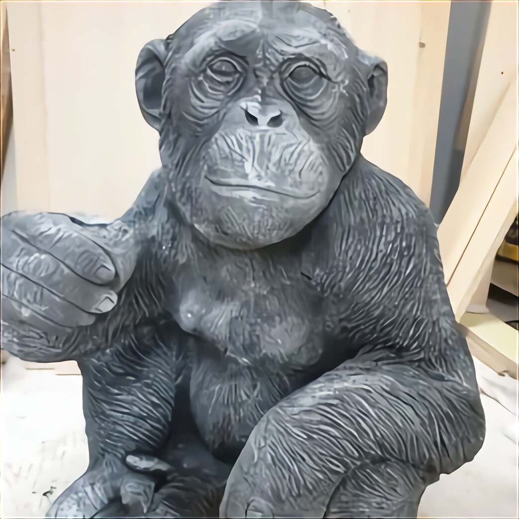 chimpanzee monkey for sale