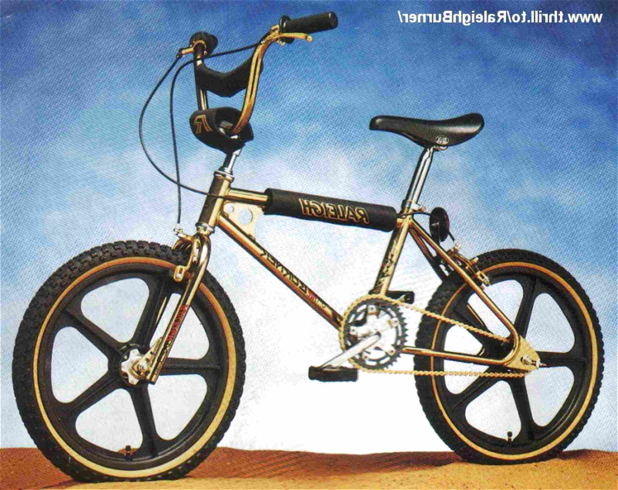 raleigh burner 35th anniversary for sale