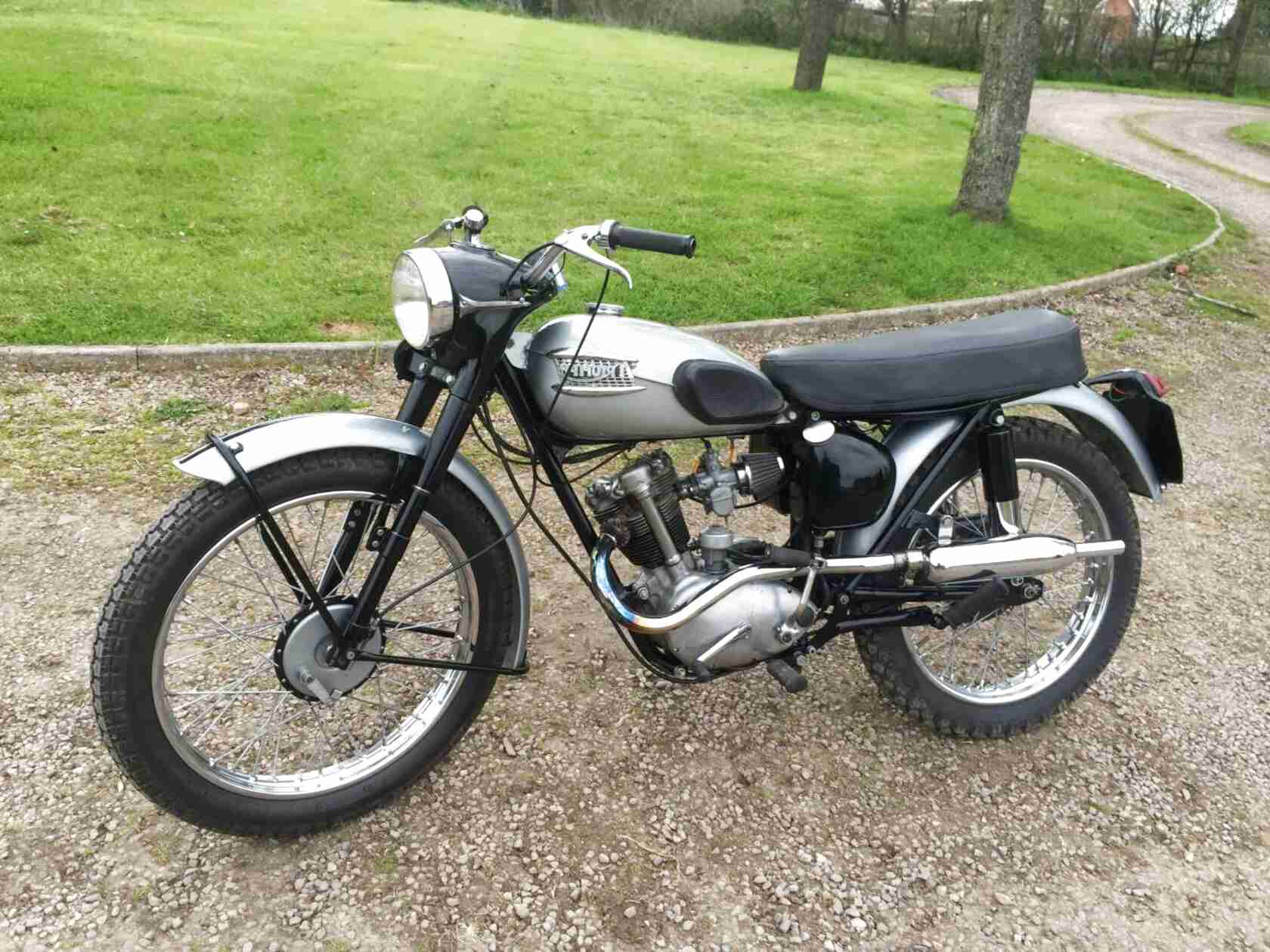 triumph tiger cub