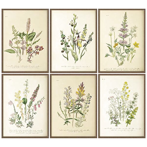 Botanical Illustration Prints for sale in UK | 59 used Botanical ...