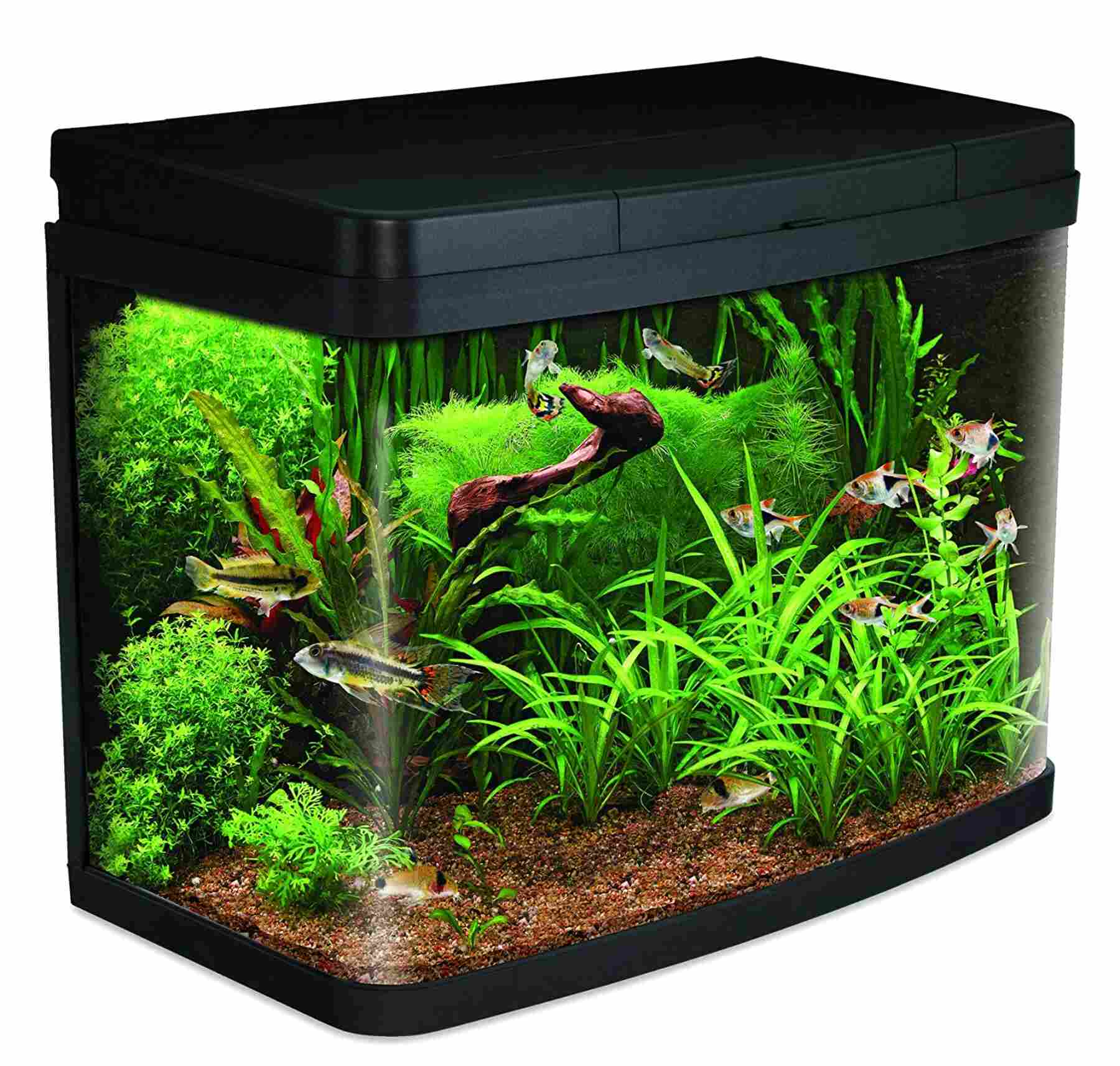 used fish tanks for sale