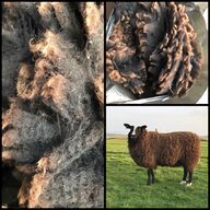 raw sheep wool for sale