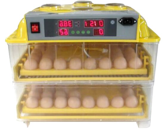 incubator for eggs ebay