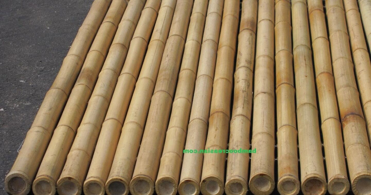 Bamboo Fence Panels for sale in UK | View 54 bargains